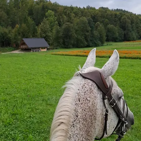 Vikendica Cozy House Dalija