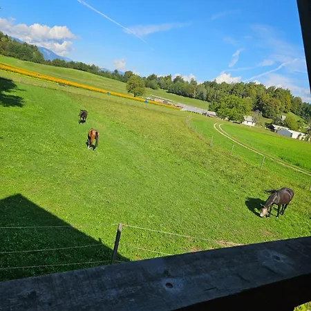 Cozy House Dalija Radovljica