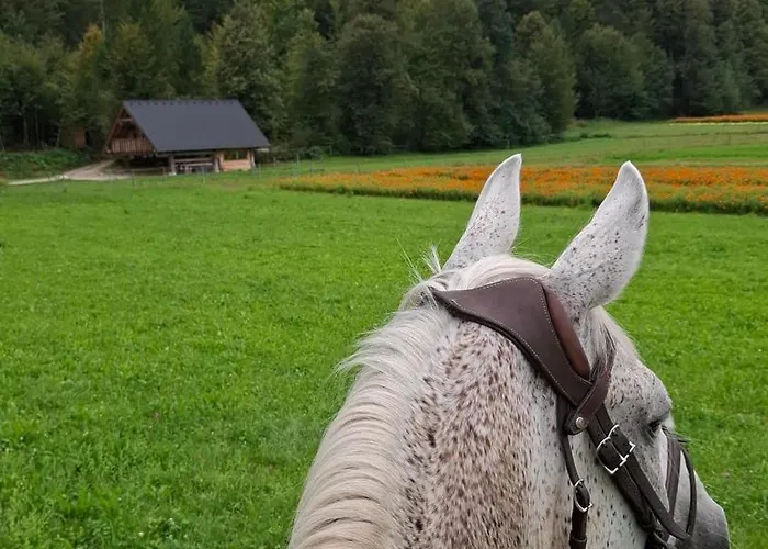 Сasa de vacaciones Cozy House Dalija